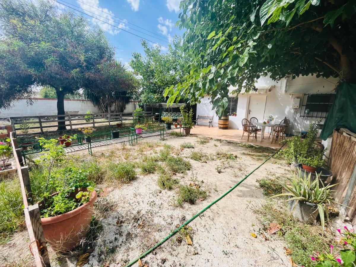 Estudio Adosado Con Jardin Y Parking Privado Alicante Eksteriør bilde