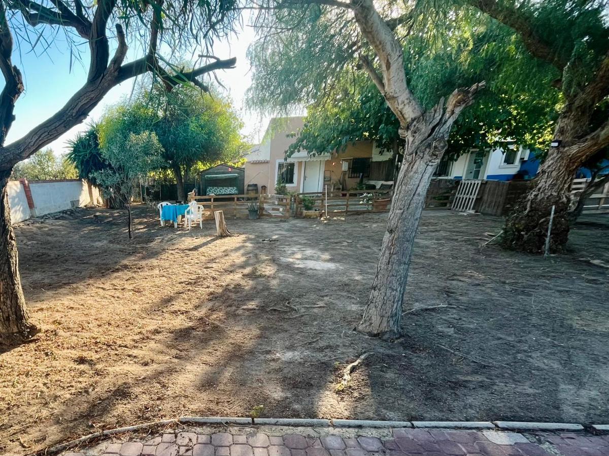 Estudio Adosado Con Jardin Y Parking Privado Alicante Eksteriør bilde